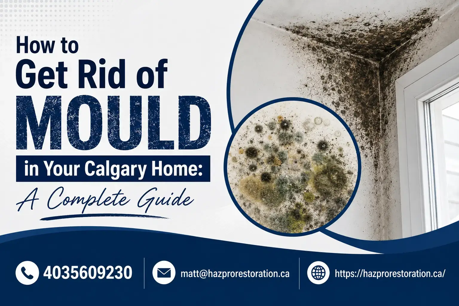 mould in Calgary