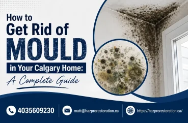 mould in Calgary